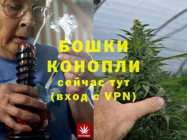 дживик Алексин