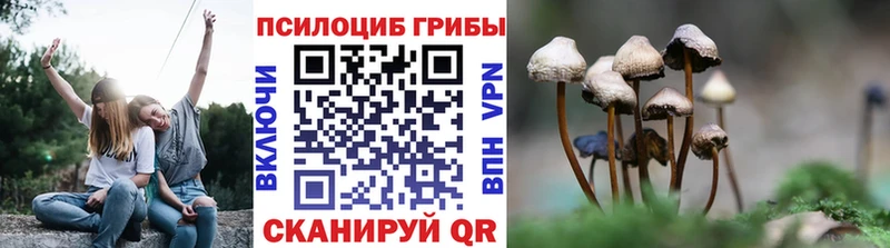 купить цена Дмитриев Галлюциногенные грибы мицелий